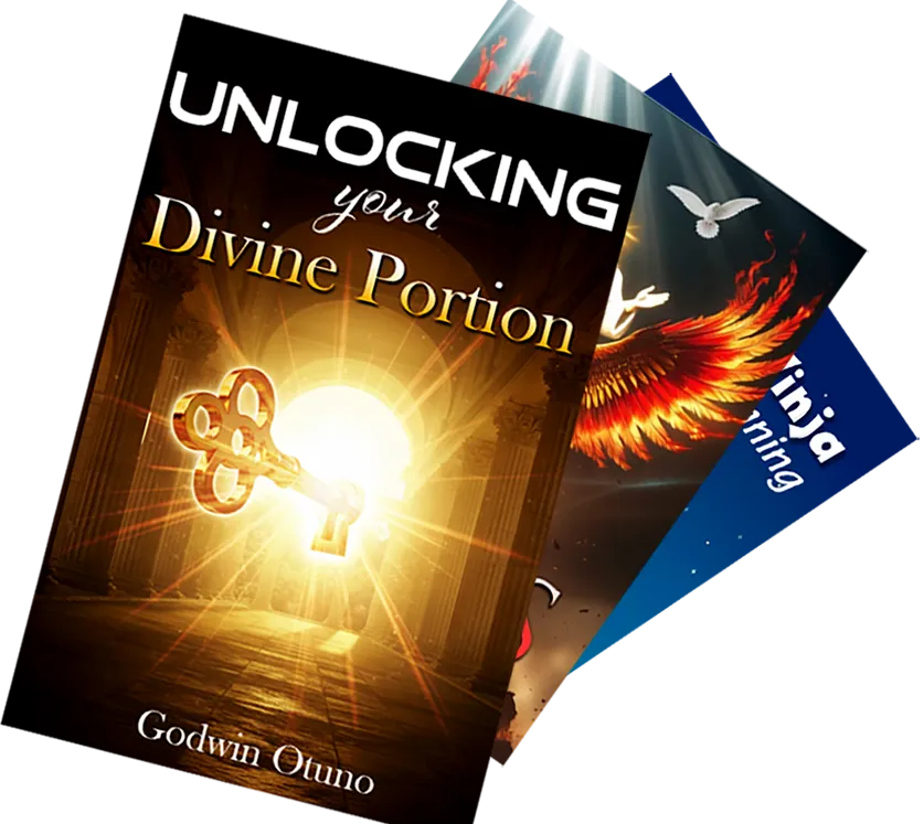 Lumera Publishing book cover