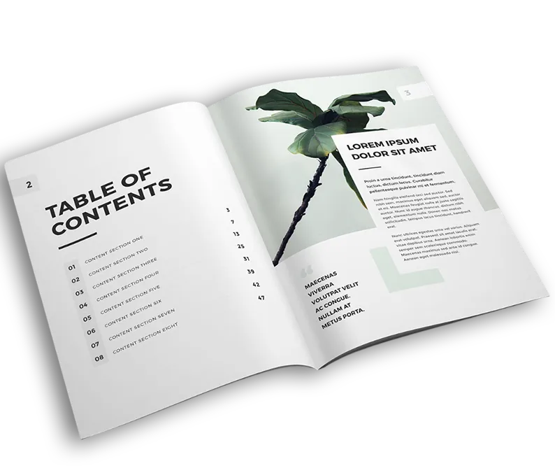 Lumera Publishing book cover